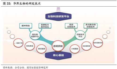 化妆品行业2020年投资展望 产品先行，流量催化，资本助力